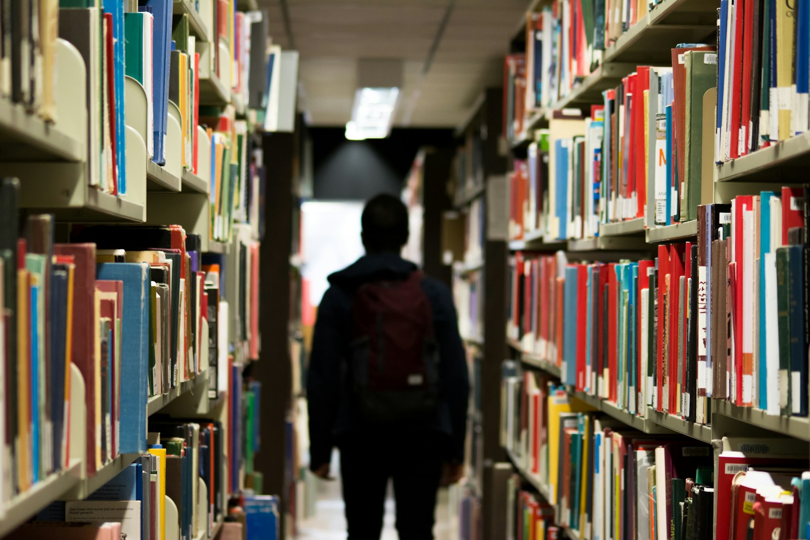 A student browsing library shelves